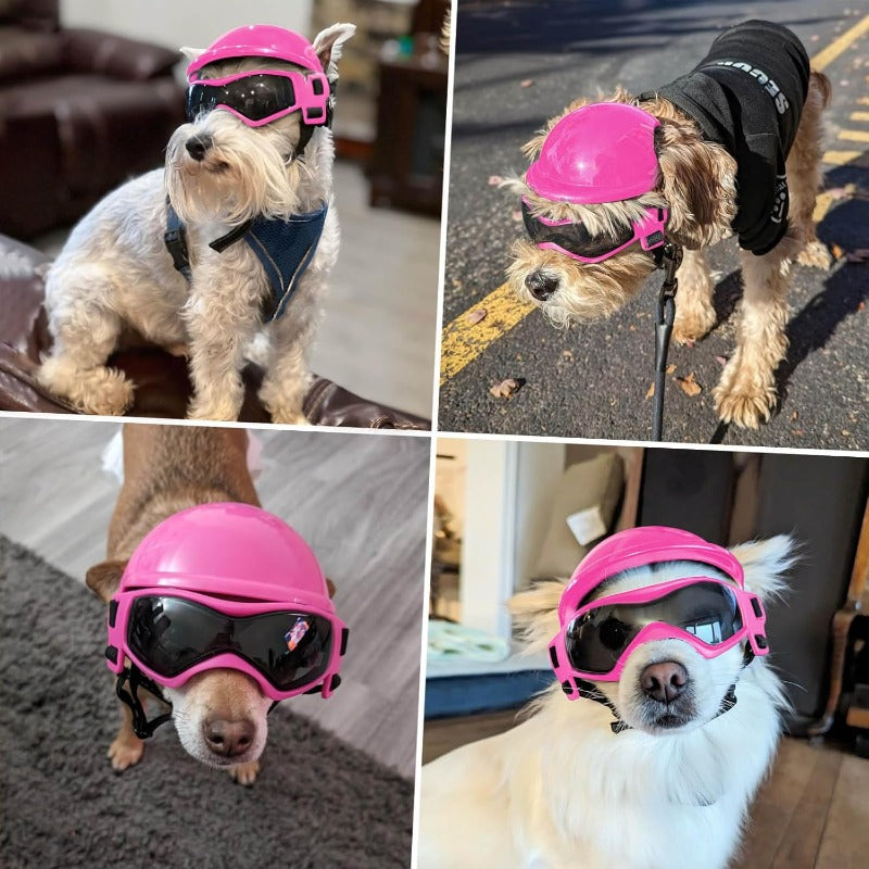 Capacete para Cães com Óculos Anti-UV