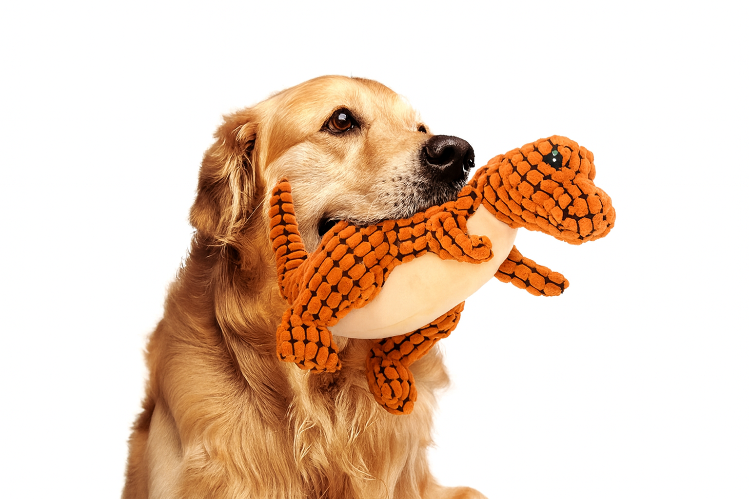 Dinossauro de Pelúcia