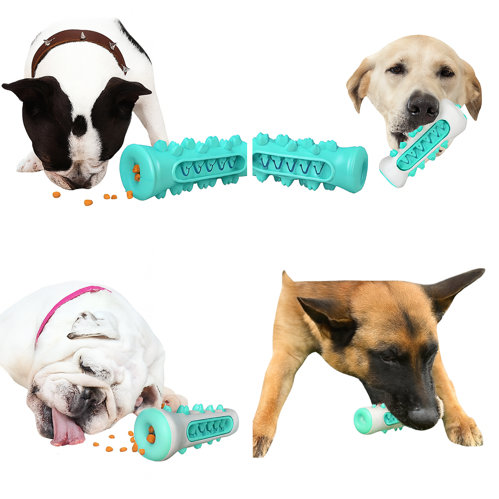 Brinquedo de mastigar 2 em 1