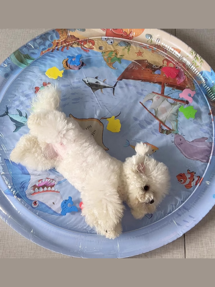 Tapete de Água Sensorial para Gatos e Cães